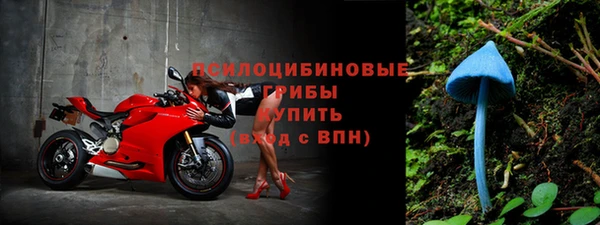 spice Богданович