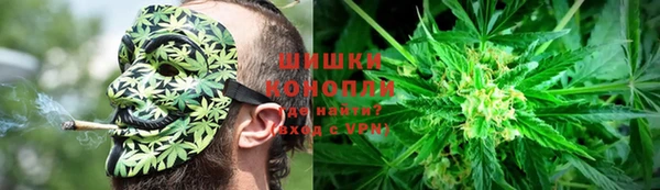 ПСИЛОЦИБИНОВЫЕ ГРИБЫ Белоозёрский
