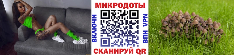 Галлюциногенные грибы мицелий  закладки  Высоковск 